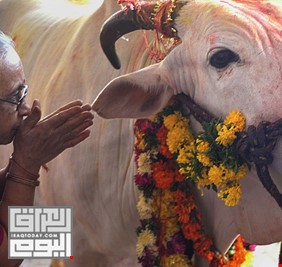 بسبب الأبقار.. مسلمون مهددون بالقتل في الهند