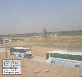 بغداد تنقل عوائل الدواعش بـ 120 حافلة الى هذه المنطقة !