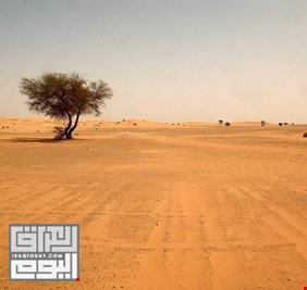 مالذي يجري في صحراء الانبار، وما المطلوب من رئيس الوزراء فعله قبل وقوع الكارثة؟