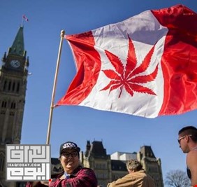 رسميا.. شرعنة الماريجوانا في كندا اعتبارا من 17 أكتوبر