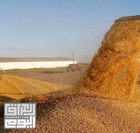 العراق يكشف عن مخزونه من القمح والأرز