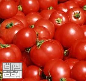 الزراعة: مستمرون بمنع استيراد محصول الطماطم وغير مسؤولين عن دخول المستورد