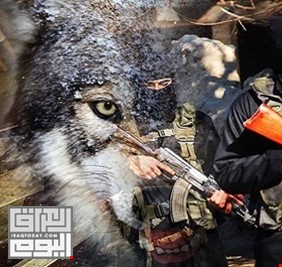 مجلس بابل: داعش يعتمد طريقة الذئاب المنفردة في جرف النصر