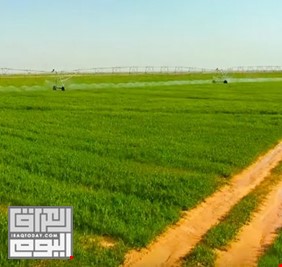 العتبة الحسينية تفتتح مدينة زراعية بمساحة 21 ألف دونم