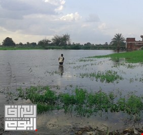 المالية النيابية: ميسان خسرت مليون و200 دونم زراعي جراء السيول والفيضانات