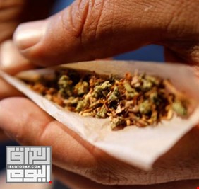 مزارع للمخدرات في وسط عاصمة العراق، واعتقال فريق من بلدية بغداد قام بزراعة النبتة المخدرة !