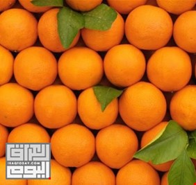 الزراعة تعلن السماح باستيراد البرتقال لقلة انتاجه محلياً