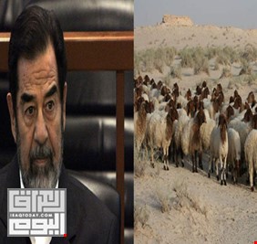 لسرقته أغنامها.. عشيرة البدور في جنوب العراق تقاضي صدام حسين