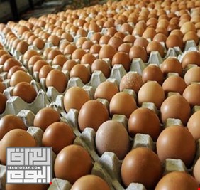 العراق يتطلع لتصدير البيض في الربع الأول من 2020