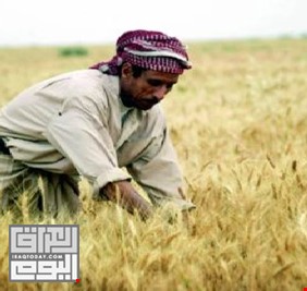 الزراعة النيابية: حقوق الفلاحين يجب تضمينها بأي موازنة