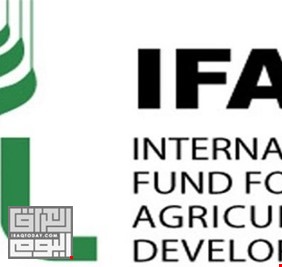 الصندوق الدولي للتنمية: النقد الدولي فشل بوضع حلول حقيقية لتجاوز ازمات العراق