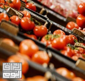 العراق يبدأ تصدير 750 طنا من ثلاثة محاصيل زراعية الى السعودية والامارات