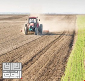 تقرير..اغلاق الحدود بسبب كورونا اعاد الحياة للزراعة العراقية