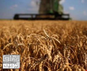 ايران تعلن استعدادها لشراء الفائض من القمح والشعير العراقي