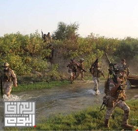 القوات العراقية تدخل جزيرة  