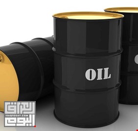 النفط يفاقم خسائره