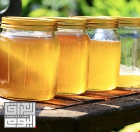 كربلاء تتصدر المحافظات العراقية بإنتاج العسل الطبيعي