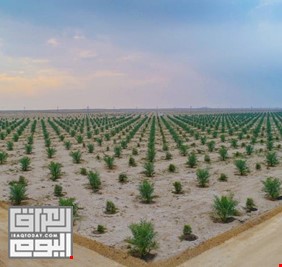 العراق يتلقى عروضا من شركات عالمية لاستثمار الصحراء
