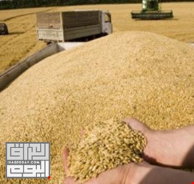 التجارة تعلن الانتهاء من ملف مستحقات مسوقي الحنطة وتوزيعها قريبا