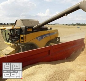 تسويق 1.5 مليون طن من الحنطة خلال شهر واحد
