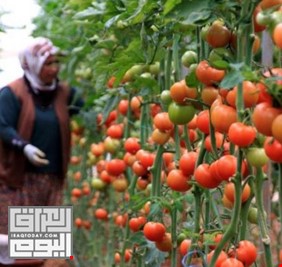 العراق يتصدر لائحة الدول المستوردة للصادرات الزراعية التركية