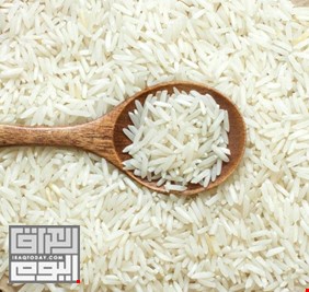 للشهر الثاني.. العراق يشتري الأرز الأبيض التايلاندي بكمية 44 الف طن متري