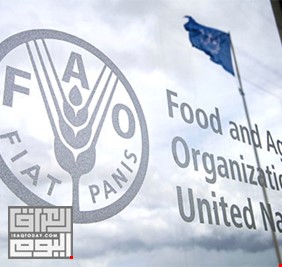 العراق يستعد لطرح ملف المياه على منظمة الأغذية والزراعة (الفاو)