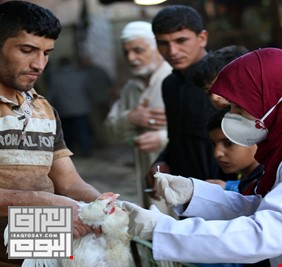 تفشي إنفلونزا الطيور في العراق.. ووزارة الزراعة تنفي 