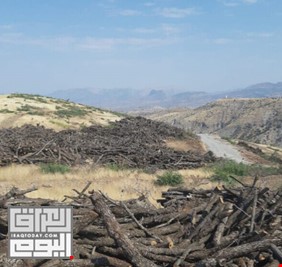 بعد قطعها المياه.. هل تنهب الشركات التركية الاشجار النادرة  من العراق فعلاً ؟