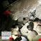 5 قتلى و19 مصابا بزلازل في جنوب إيران