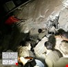 5 قتلى و19 مصابا بزلازل في جنوب إيران