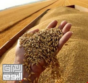 العراق يرصد 200 مليون دولار لشراء القمح من ثلاث دول