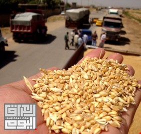 تجارة الحبوب تعتمد آليات جديدة لبدء العمل التجاري في استيراد الحنطة