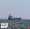 9 سفن محملة بالمواد الغذائية تغادر الموانئ الأوكرانية