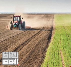 مركز عالمي: العراق فقد نصف إنتاجه الزراعي بسبب هذه الكارثة