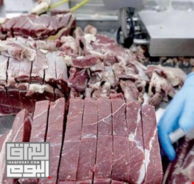 عقب إصابة بجنون البقر.. دولة عربية تحظر استيراد اللحوم البرازيلية