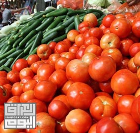خطة عراقية لزيادة الانتاج المحلي للمحاصيل الزراعية وتصدير الفائض