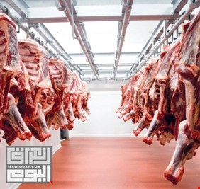 لارتفاعها بالسوق المحلية.. العراق يسمح باستيراد اللحوم الحمراء