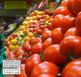 الزراعة: تصدير فائض 3 محاصيل بجانب التمور بكميات كبيرة إلى الخليج والأردن ودول أخرى