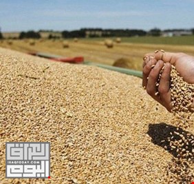 العراق يتوقع تحقيق الإكتفاء الذاتي من محصول القمح