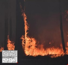 روسيا.. حرائق ضخمة في غابات مقاطعة ماغادان