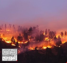 بعد أكبر عملية إجلاء في اليونان.. استمرار حرائق الغابات لليوم السادس بجزيرة رودوس