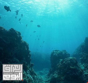 العلماء يكتشفون نظاما بيئيا جديدا بالكامل مختبئا تحت قاع البحر!