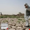 العراق يواصل خسارة اراضيه الزراعية بسبب موجات الجفاف