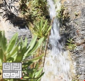 عيون المياه العذبة تتفجر في أعقاب زلزال المغرب
