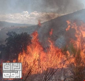 الجزائر: تضرّر 41 ألف هكتار من الغابات نتيجة الحرائق