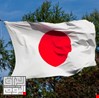 مسؤول ياباني: طوكيو تراقب عن كثب زيارة بوتين إلى بيونغ يانغ