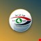 هيئة النزاهة.. تفكيك منظومات الفساد عبر عمليات تدقيق وملاحقات قضائية واسعة