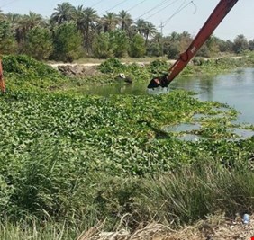 أخطر أزمة مائية منذ عقود تهدد ذي قار.. تحذيرات من اختناق نهر الغراف بزهرة النيل