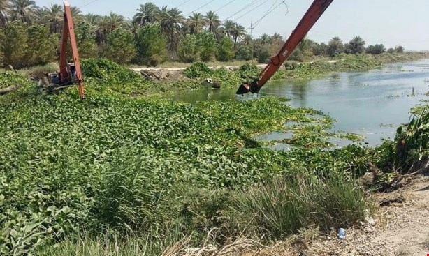 أخطر أزمة مائية منذ عقود تهدد ذي قار.. تحذيرات من اختناق نهر الغراف بزهرة النيل